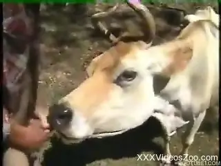 Farmer gets a gorgeous wet blowjob by his trained cow