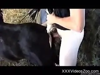 Man with big boner impaled his black pony in doggy style pose