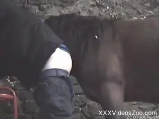 Brutal muscled stallion pounds a farmer in doggy style pose