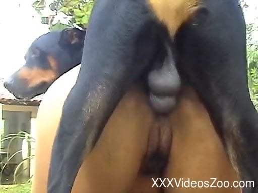 512px x 384px - Extremely sexy Latina with big ass likes her doberman