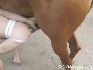 Impressive brown stallion pounds a sexy girl from behind