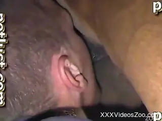 Farmer sticks his loaded boner in a tight ass of a horse