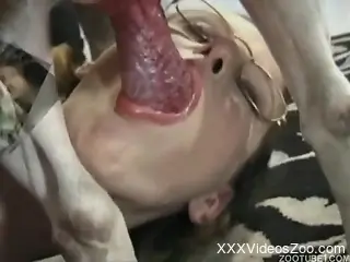 Nerdy hottie is sucking a loaded sausage of a beagle