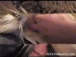Pretty hot hairy gets a gorgeous anus stimulation in close-up