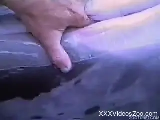 Sticking my hard fingers in a tight hole of a sexy dolphin