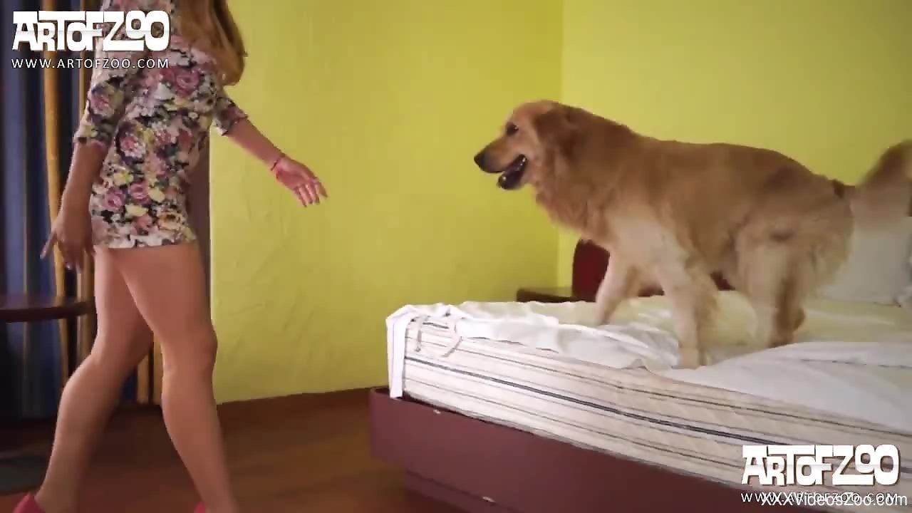 Woman Fucks Golden Retriever