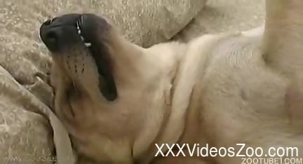 Erotik sherlar ertalab