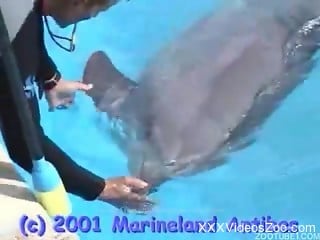 Diver is rubbing big and pointy dick of his lovely dolphin