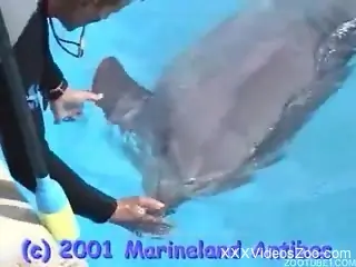Diver is rubbing big and pointy dick of his lovely dolphin