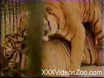 Two awesome tigers have incredibly hot wild sex in the cage