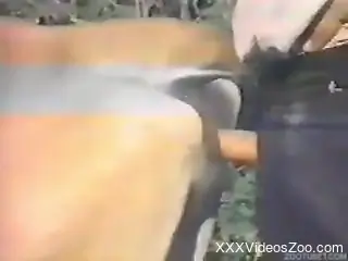 Sensual chick and her trained animal have amazing outdoor bestiality