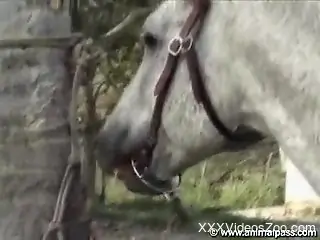 Awesome zoophilic sex compilation with dogs and farm animals