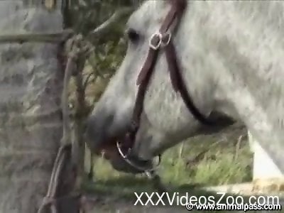 Awesome zoophilic sex compilation with dogs and farm animals