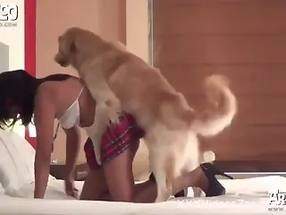 Awesome babe in sunglasses is sucking a tasty doggy sausage