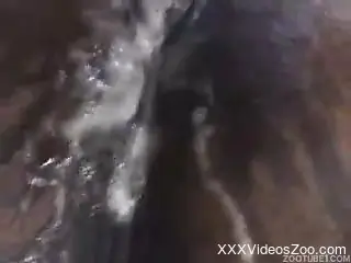 Farmer impaled his sweet pony and filled out his ass with cum