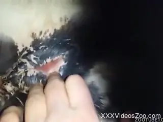 Farmer is playing with a tight anal hole of his lovely horse