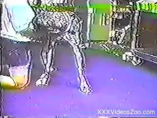 Dalmatian and other dogs are banging a big-bottomed zoofil