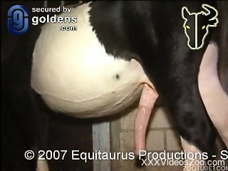 Men Animal Xxx - Free Animal XXX Videos & Zoo Sex Clips - Bestiality Porn Tube (Page 3)