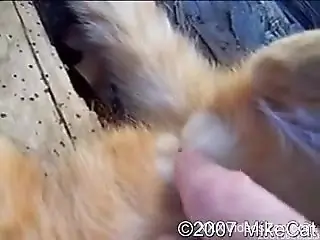 Stimulating tight pink anal hole of my lovely trained doggy