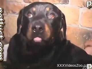 Kissing and fucking my innocent rottweiler in the night