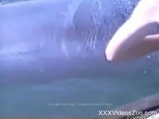 Sticking my wrist in dolphin tight cunt and stimulating his hole