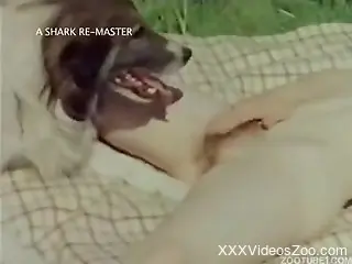 Sexy cow and sweet trained doggy in passionate old-fashioned bestiality