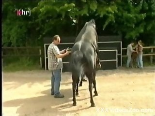 Two farmers breeding sexy horses in front of the cam