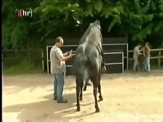 Two farmers breeding sexy horses in front of the cam