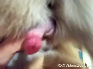 Dude jerks a dog's delicious-looking red boner