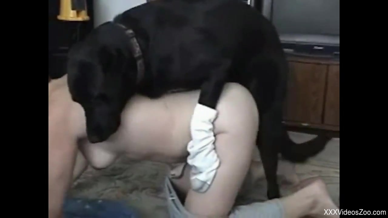 Dog Fuck Slut