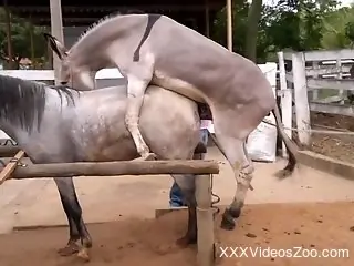Two sexy animals enjoying hardcore fucking outdoors