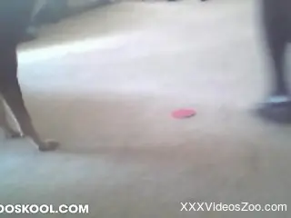 Skirt-wearing young slut gets drilled on the floor