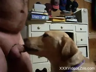 Small-dicked zoophile dude gets a blowjob from a dog