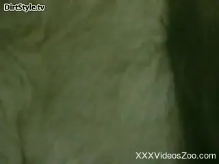Brunette fucks her dog during an outdoors picnic
