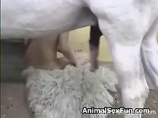 Ponytailed Latina falls in love with a horse boner