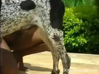 Sexy wife tapes during outdoor sex with the dog