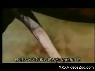 Guy feels aroused when seeing horses fucking