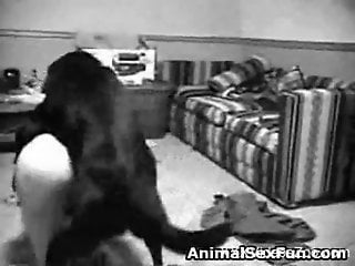 B&W hardcore dog sex video with a young seductress