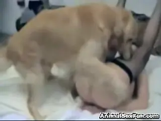 Fishnets-wearing MILF getting her pussy destroyed