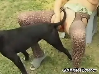 Hottest bestiality threesome with dogs and horses