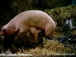 Two country girls getting fucked by a horny pig