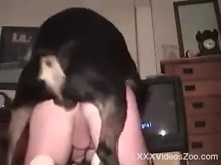 Dude with a tight booty gets gaped by a hung doggo