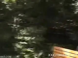 Hairy pussy Asian hottie gets gang-banged by dogs