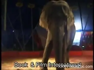 Shameless blonde zoophile masturbates for an elephant