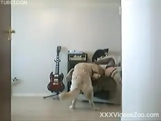 Skirt-wearing teen seducing her energetic doggo