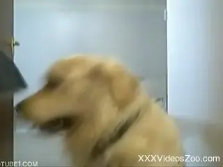 Skirt-wearing young girl gets fucked by her pet