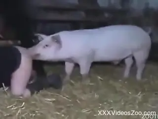 Twisted pig shoves its dick in this zoophile pussy