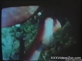 Retro orgy video with a horny animal that loves to fuck