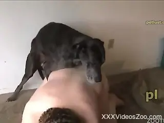 Dude gets ass-fucked by his gay black dog on cam