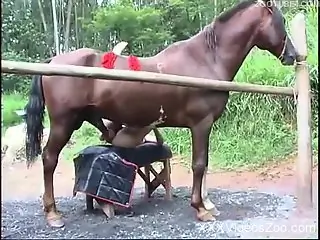 Muscular stallion fucking a frizzy-haired blonde Latina
